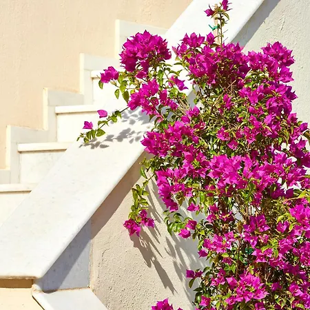 Le Blanc - Two Luxury Villa *