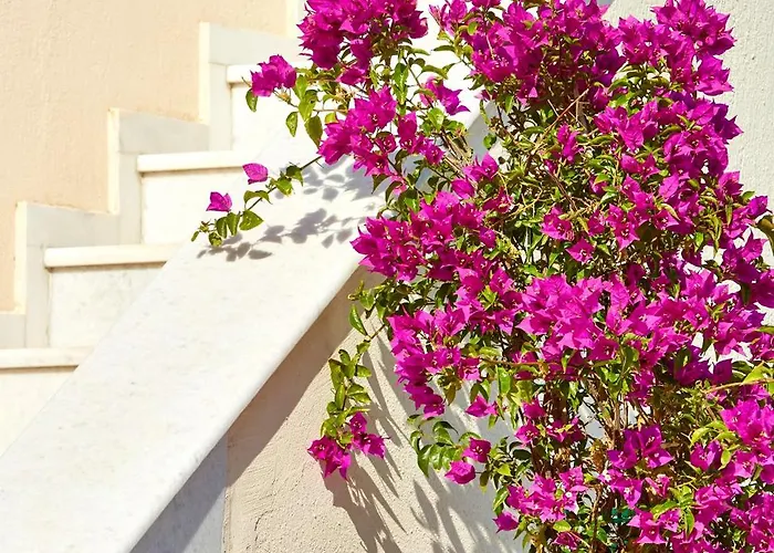 Le Blanc - Two Luxury Villa *