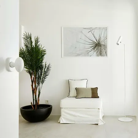 Le Blanc - Two Luxury Willa